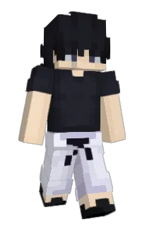 Front of BotDet's skin
