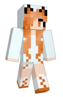 Front of rddl's skin