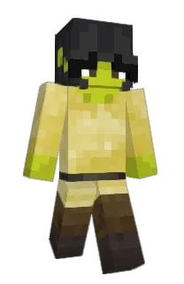 Front of Shroud19's skin