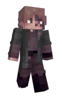 Front of paidi's skin
