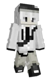 Front of 1424274's skin