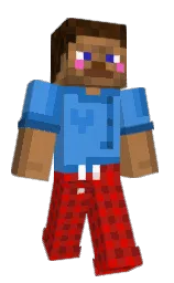TimNymburk's Minecraft skin wearing the Cherry Blossom cape