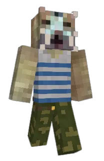 Front of fournow's skin