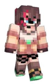 Skin preview
