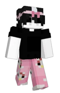 Front of dnsre's skin