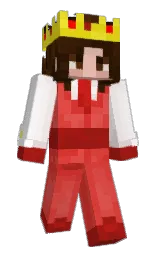 vixde2u's Minecraft skin wearing the Migrator cape