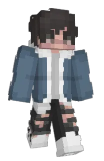 Front of marioca's skin
