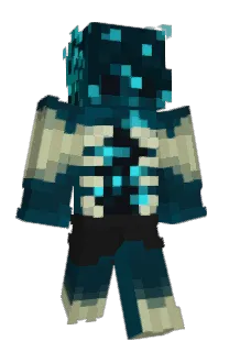 Front of Karsikko's skin