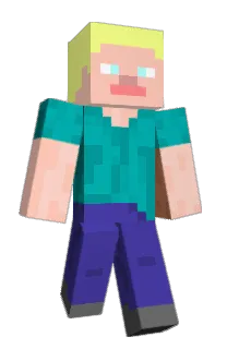Front of paicocos's skin