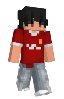 Front of Minecraft skin
