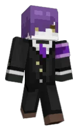 Minecraft skin — Classic model