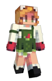 Front of rogueparker's skin