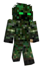 Skin preview