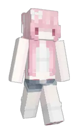 heckyes's Minecraft skin wearing the Migrator cape