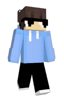 Front of Jarvin's skin
