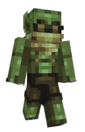Skin preview