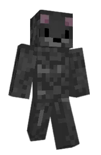 Front of TurboSvend's skin