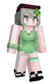 Skin preview