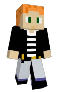 Front of _Sicarius_'s skin