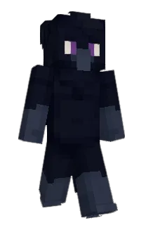 Nokarion's Minecraft skin