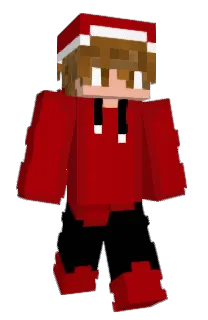 Front of DuckedSE's skin