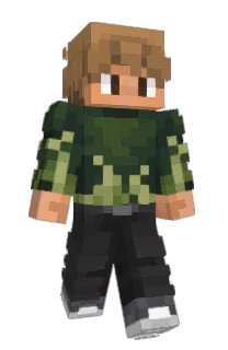 Front of mirrorish's skin