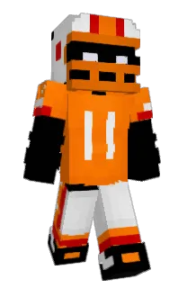Front of Panicam1's skin