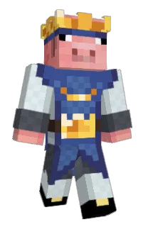 Front of Sact's skin