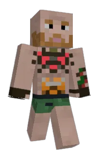 Front of Minecraft skin