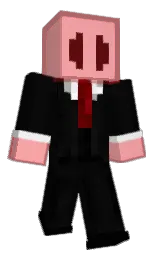 Minecraft skin — Classic model