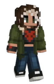 Skin preview