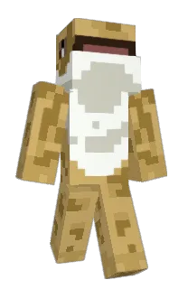 Front of Seanthelegend's skin