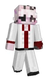 Slim Minecraft skin