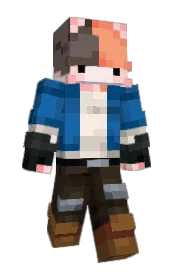 Skin preview