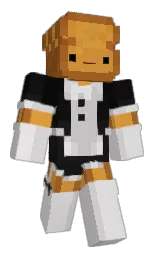 Minecraft skin — Classic model