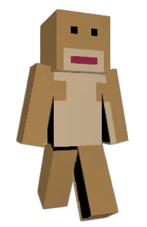 Front of ppfp's skin