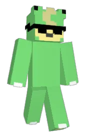 Skin preview