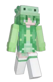 Skin preview