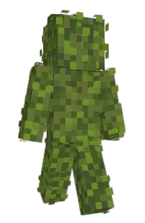 Front of civila's skin