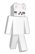 anapup