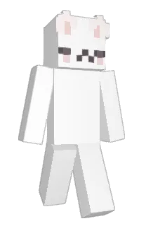 anapup's Minecraft skin