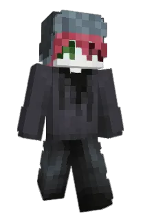 Front of Reformic's skin