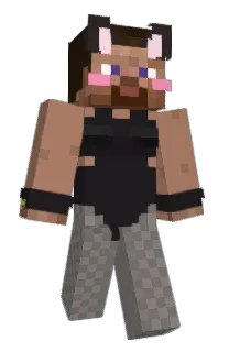 Front of BIN__01's skin