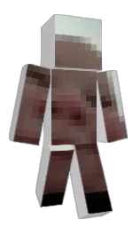 S0gyy's Minecraft skin wearing the Migrator cape