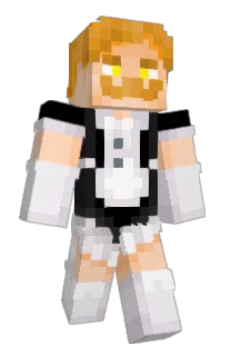Front of vegetrunks's skin
