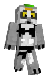 Skin preview