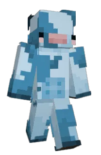 Front of TAYKONG's skin