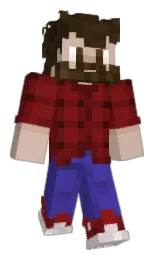 Minecraft skin — Classic model