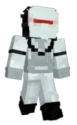 Minecraft skin — Classic model
