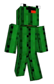 Skin preview